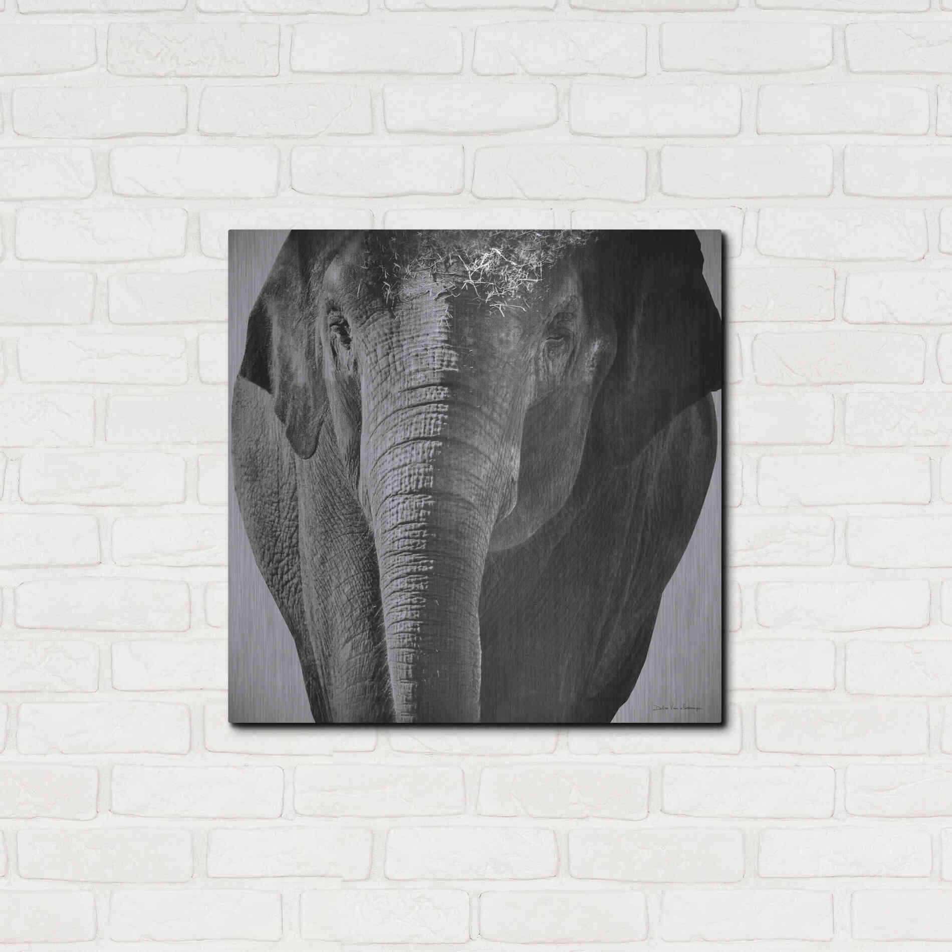 Luxe Metal Art 'Elephant I' by Debra Van Swearingen, Metal Wall Art,24x24