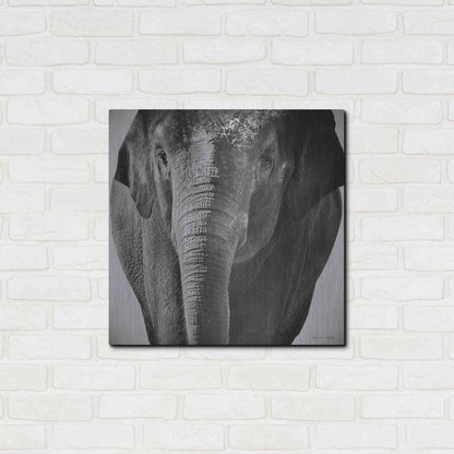 Luxe Metal Art 'Elephant I' by Debra Van Swearingen, Metal Wall Art,24x24