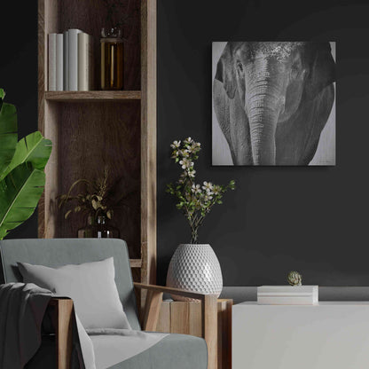 Luxe Metal Art 'Elephant I' by Debra Van Swearingen, Metal Wall Art,24x24