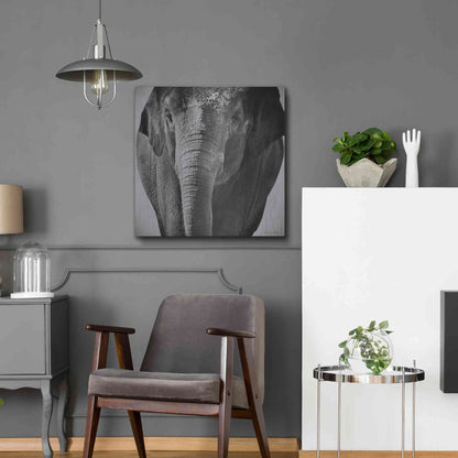 Luxe Metal Art 'Elephant I' by Debra Van Swearingen, Metal Wall Art,24x24