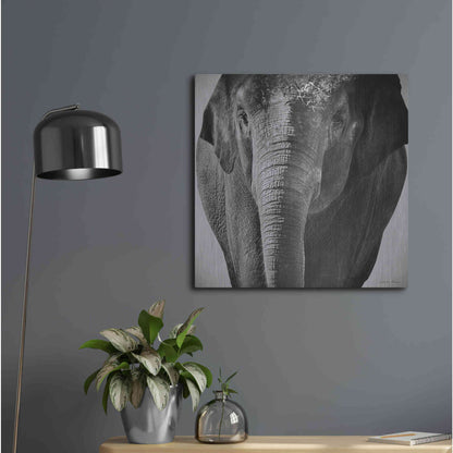 Luxe Metal Art 'Elephant I' by Debra Van Swearingen, Metal Wall Art,24x24