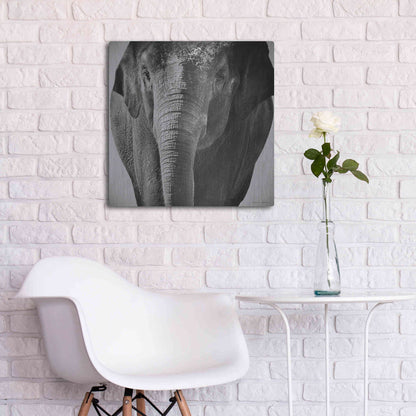 Luxe Metal Art 'Elephant I' by Debra Van Swearingen, Metal Wall Art,24x24