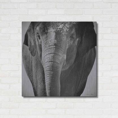 Luxe Metal Art 'Elephant I' by Debra Van Swearingen, Metal Wall Art,36x36