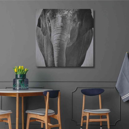 Luxe Metal Art 'Elephant I' by Debra Van Swearingen, Metal Wall Art,36x36