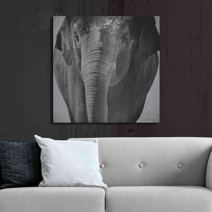 Luxe Metal Art 'Elephant I' by Debra Van Swearingen, Metal Wall Art,36x36