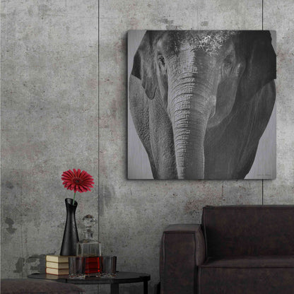 Luxe Metal Art 'Elephant I' by Debra Van Swearingen, Metal Wall Art,36x36
