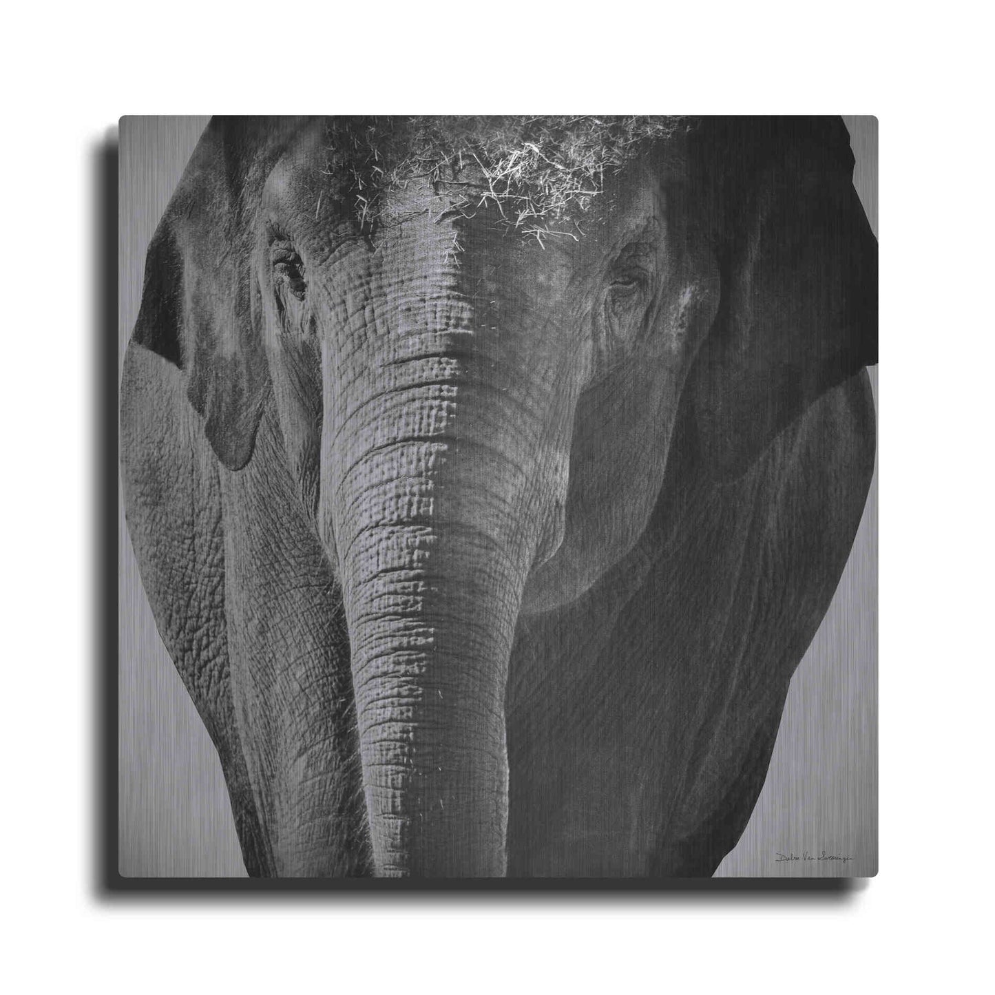 Luxe Metal Art 'Elephant I' by Debra Van Swearingen, Metal Wall Art
