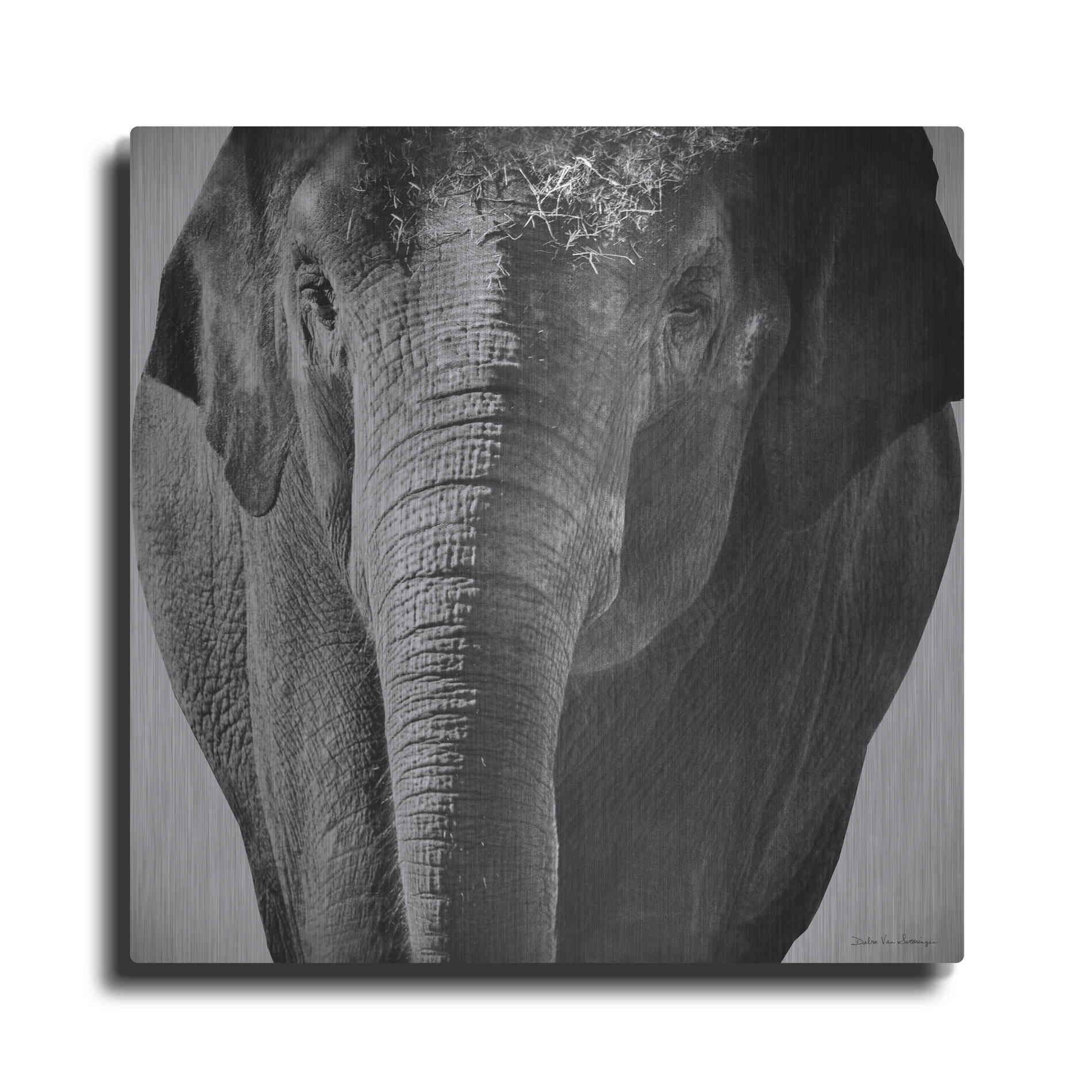 Luxe Metal Art 'Elephant I' by Debra Van Swearingen, Metal Wall Art