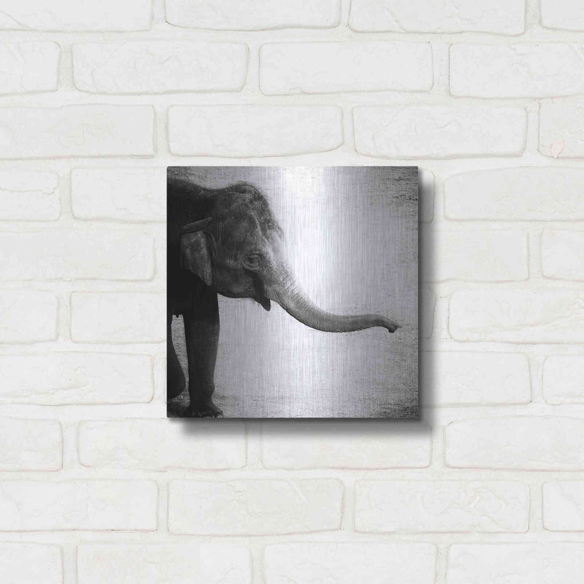 Luxe Metal Art 'Elephant II' by Debra Van Swearingen, Metal Wall Art,12x12