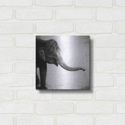 Luxe Metal Art 'Elephant II' by Debra Van Swearingen, Metal Wall Art,12x12