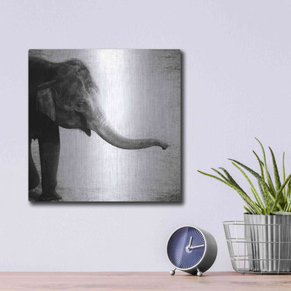 Luxe Metal Art 'Elephant II' by Debra Van Swearingen, Metal Wall Art,12x12
