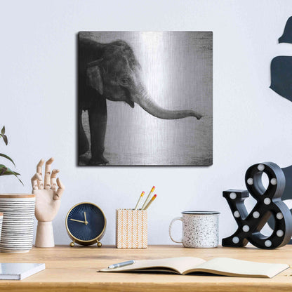 Luxe Metal Art 'Elephant II' by Debra Van Swearingen, Metal Wall Art,12x12