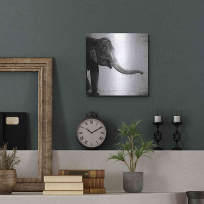Luxe Metal Art 'Elephant II' by Debra Van Swearingen, Metal Wall Art,12x12