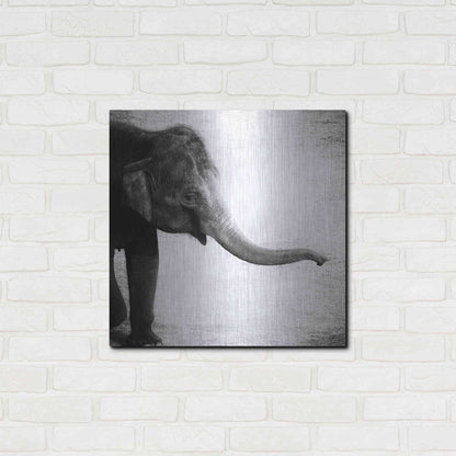 Luxe Metal Art 'Elephant II' by Debra Van Swearingen, Metal Wall Art,24x24