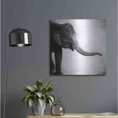 Luxe Metal Art 'Elephant II' by Debra Van Swearingen, Metal Wall Art,24x24