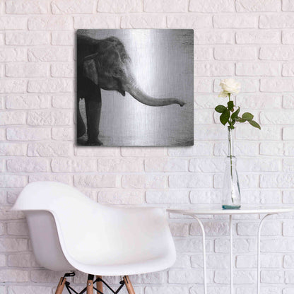 Luxe Metal Art 'Elephant II' by Debra Van Swearingen, Metal Wall Art,24x24