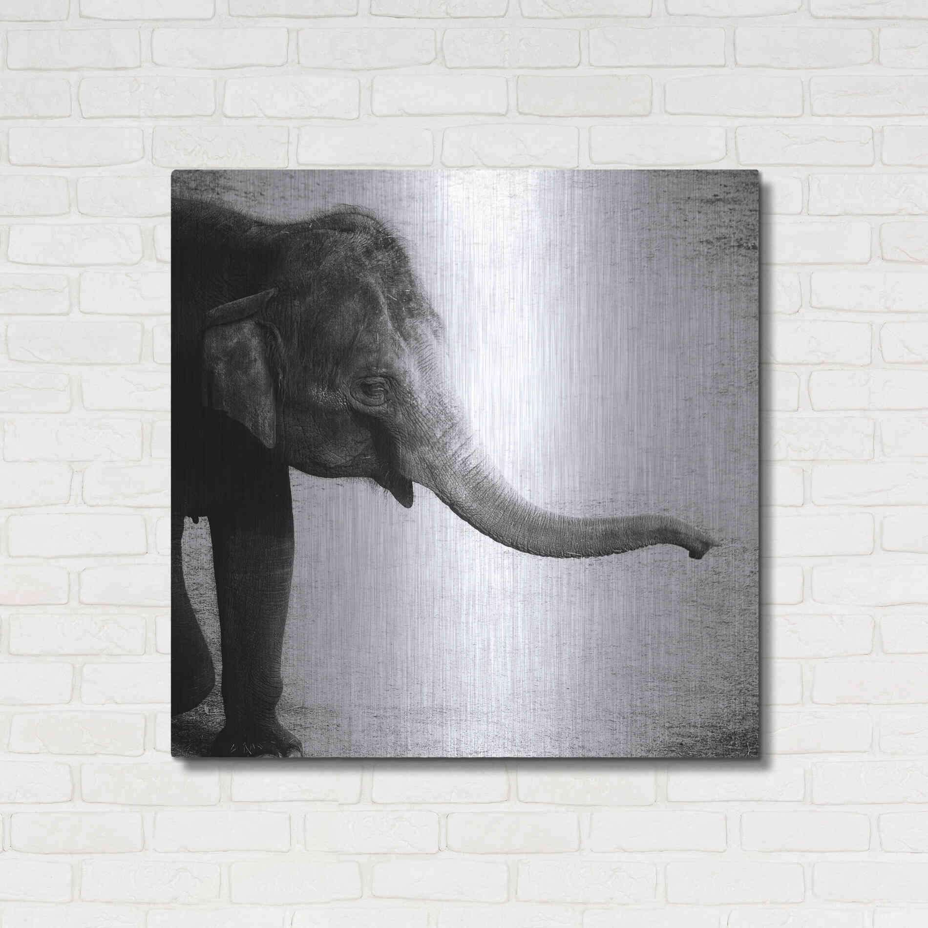 Luxe Metal Art 'Elephant II' by Debra Van Swearingen, Metal Wall Art,36x36