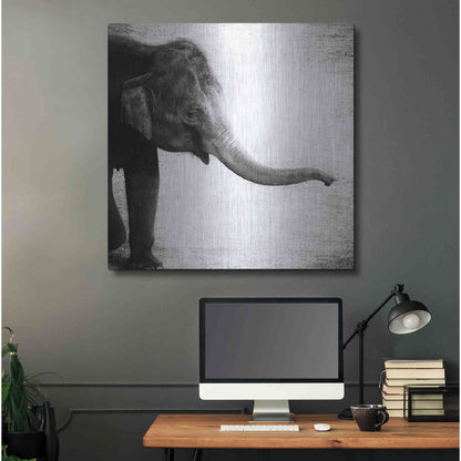 Luxe Metal Art 'Elephant II' by Debra Van Swearingen, Metal Wall Art,36x36