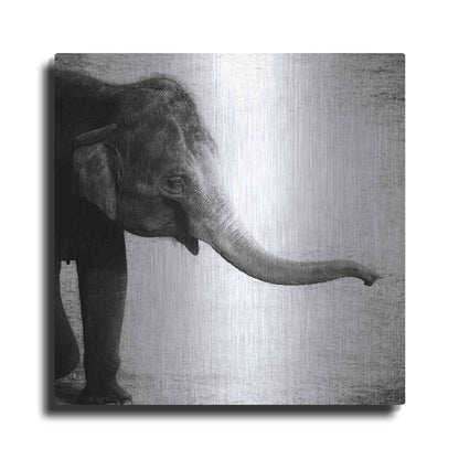Luxe Metal Art 'Elephant II' by Debra Van Swearingen, Metal Wall Art