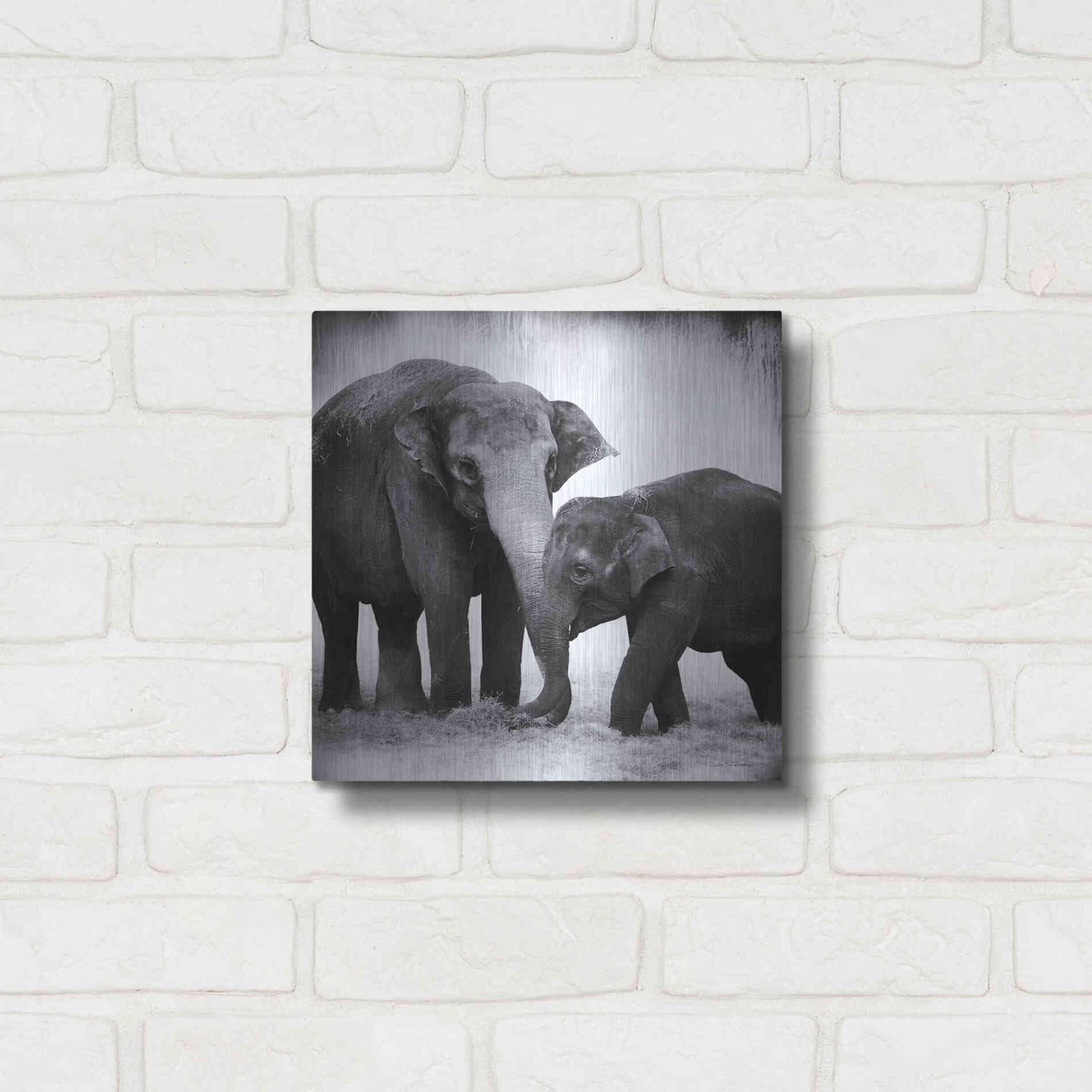 Luxe Metal Art 'Elephant III' by Debra Van Swearingen, Metal Wall Art,12x12