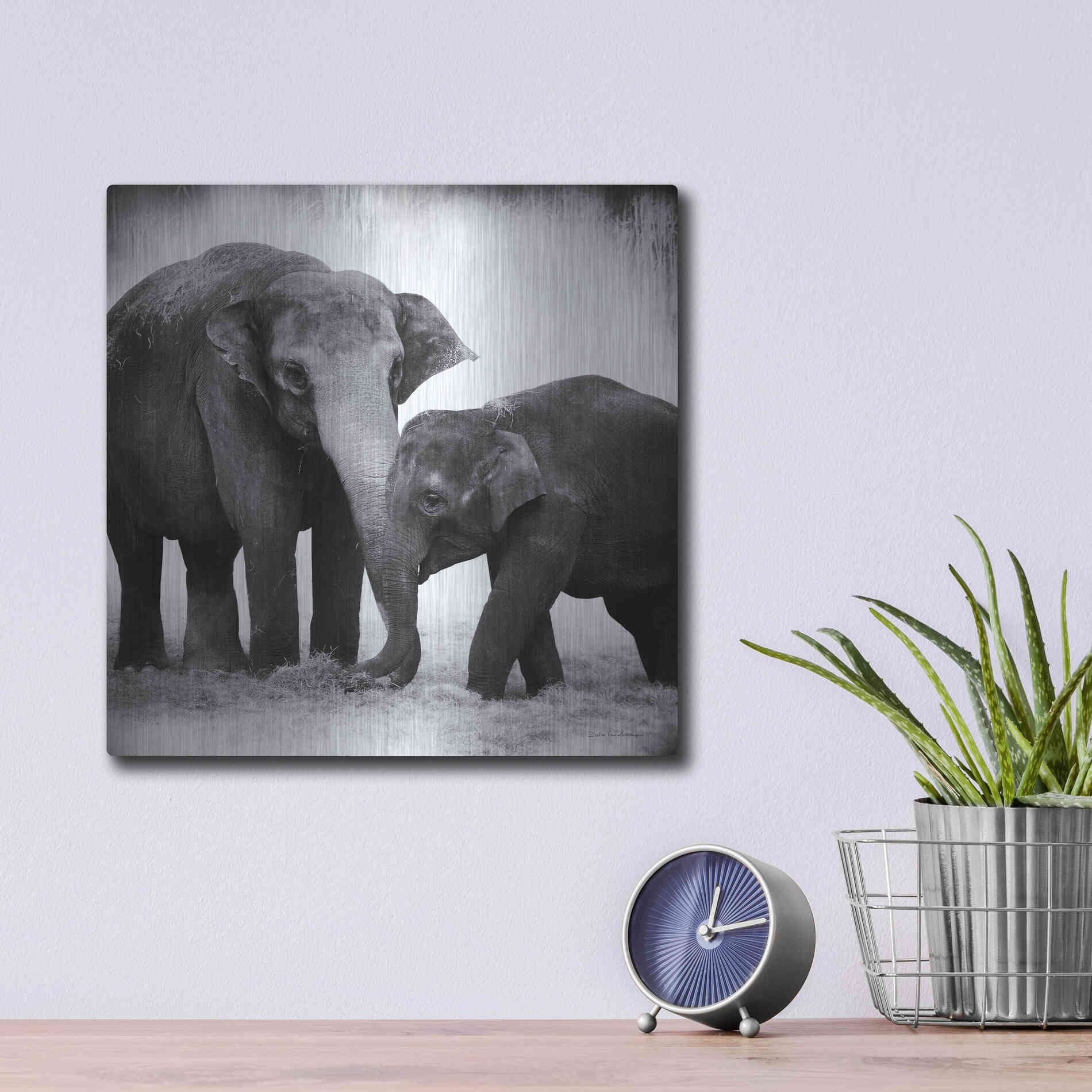 Luxe Metal Art 'Elephant III' by Debra Van Swearingen, Metal Wall Art,12x12