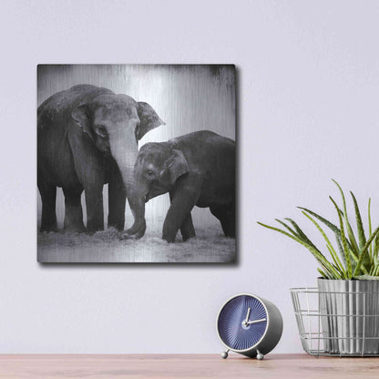 Luxe Metal Art 'Elephant III' by Debra Van Swearingen, Metal Wall Art,12x12