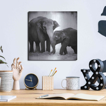 Luxe Metal Art 'Elephant III' by Debra Van Swearingen, Metal Wall Art,12x12