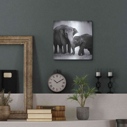 Luxe Metal Art 'Elephant III' by Debra Van Swearingen, Metal Wall Art,12x12
