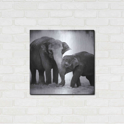 Luxe Metal Art 'Elephant III' by Debra Van Swearingen, Metal Wall Art,24x24