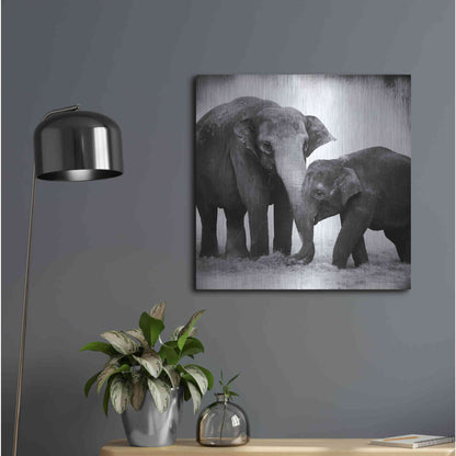 Luxe Metal Art 'Elephant III' by Debra Van Swearingen, Metal Wall Art,24x24