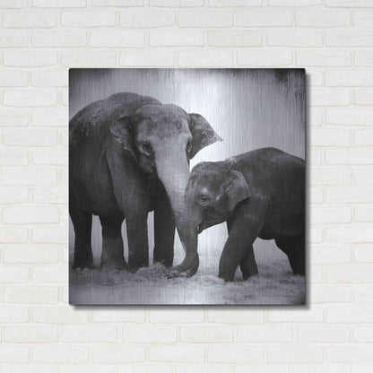 Luxe Metal Art 'Elephant III' by Debra Van Swearingen, Metal Wall Art,36x36
