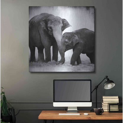 Luxe Metal Art 'Elephant III' by Debra Van Swearingen, Metal Wall Art,36x36