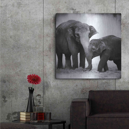 Luxe Metal Art 'Elephant III' by Debra Van Swearingen, Metal Wall Art,36x36