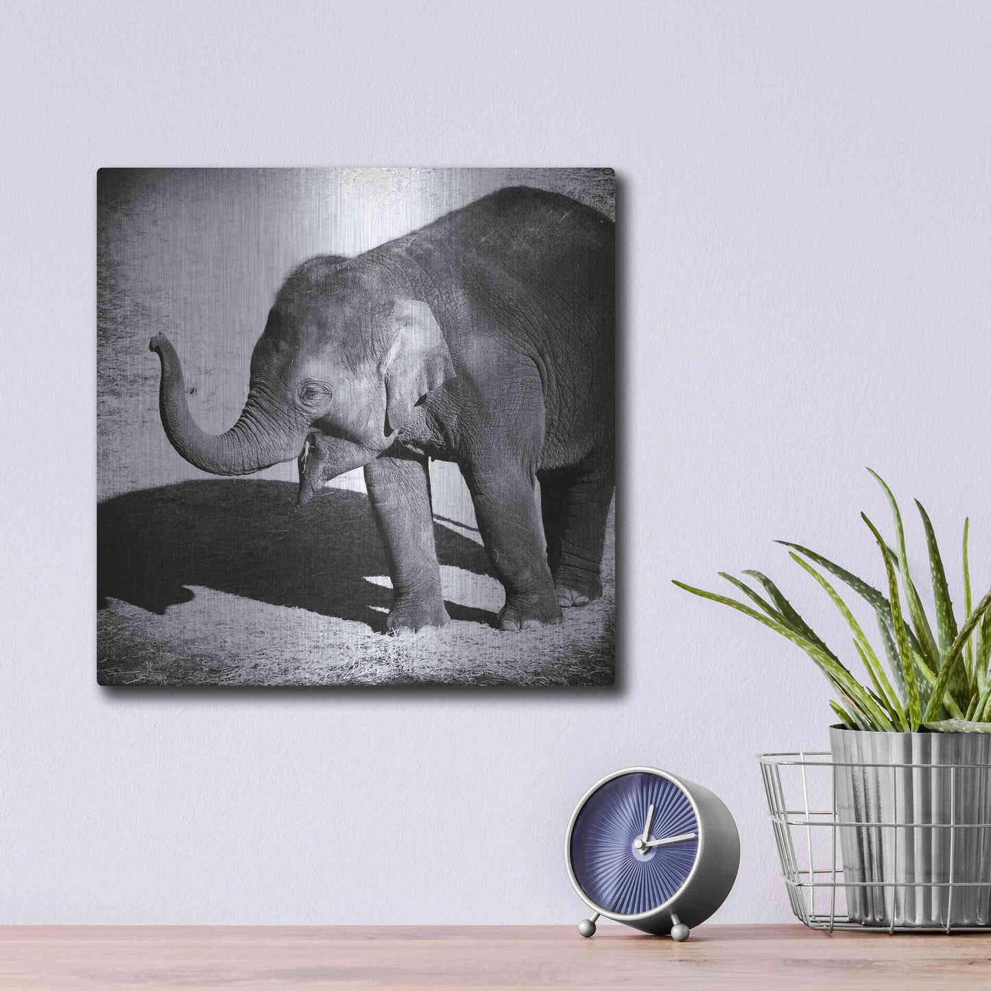 Luxe Metal Art 'Elephant IV' by Debra Van Swearingen, Metal Wall Art,12x12