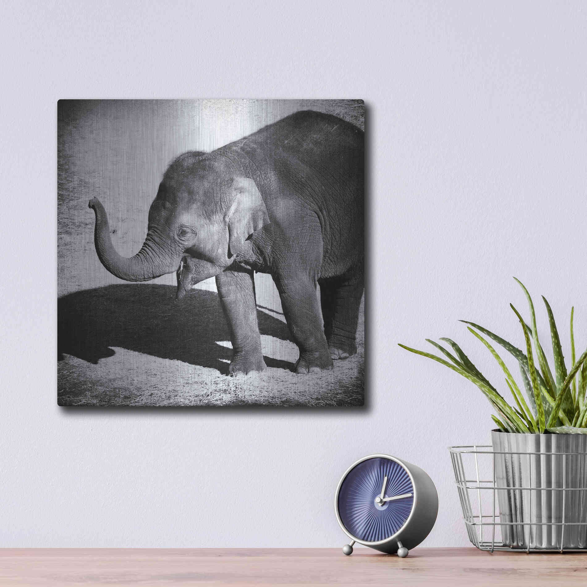Luxe Metal Art 'Elephant IV' by Debra Van Swearingen, Metal Wall Art,12x12