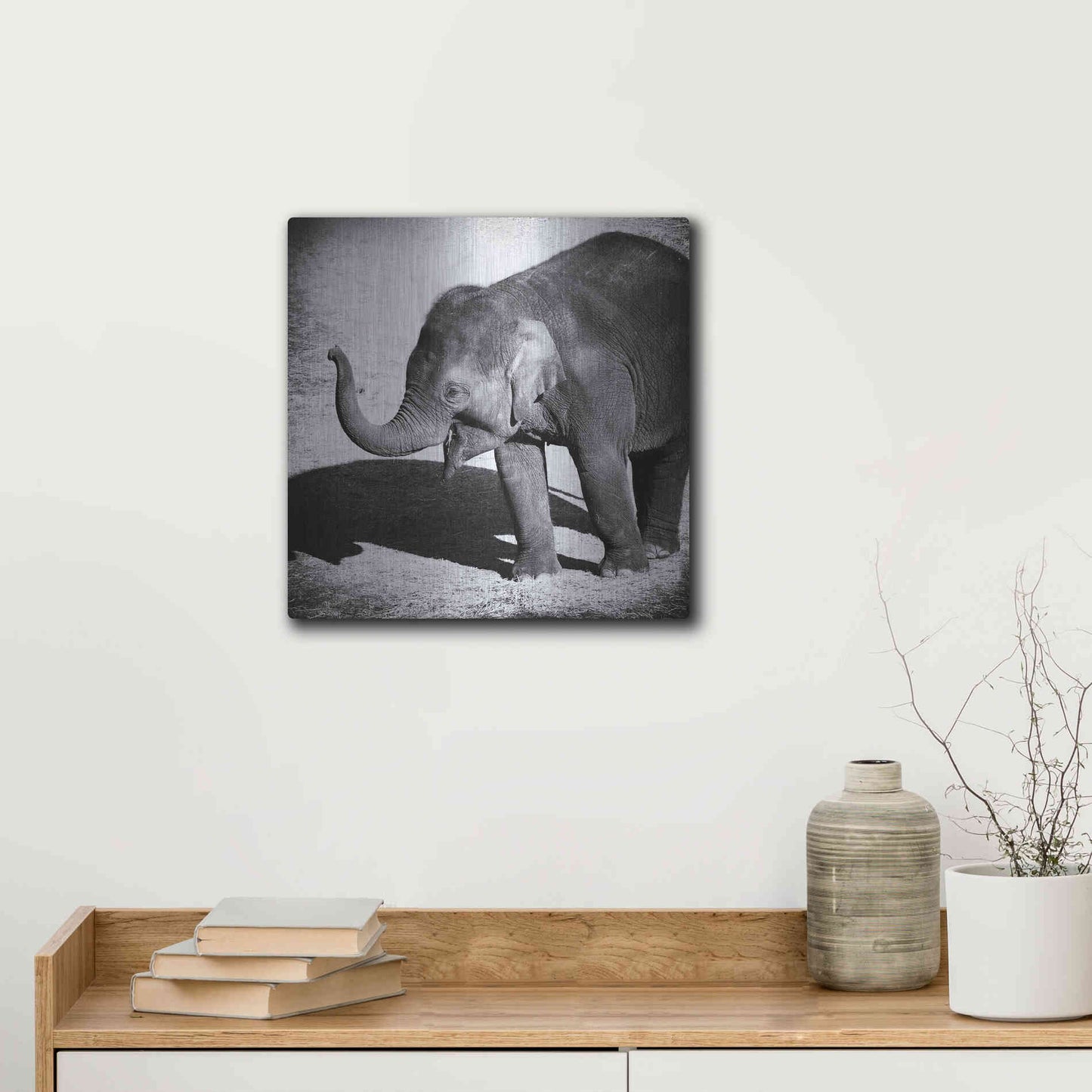 Luxe Metal Art 'Elephant IV' by Debra Van Swearingen, Metal Wall Art,12x12