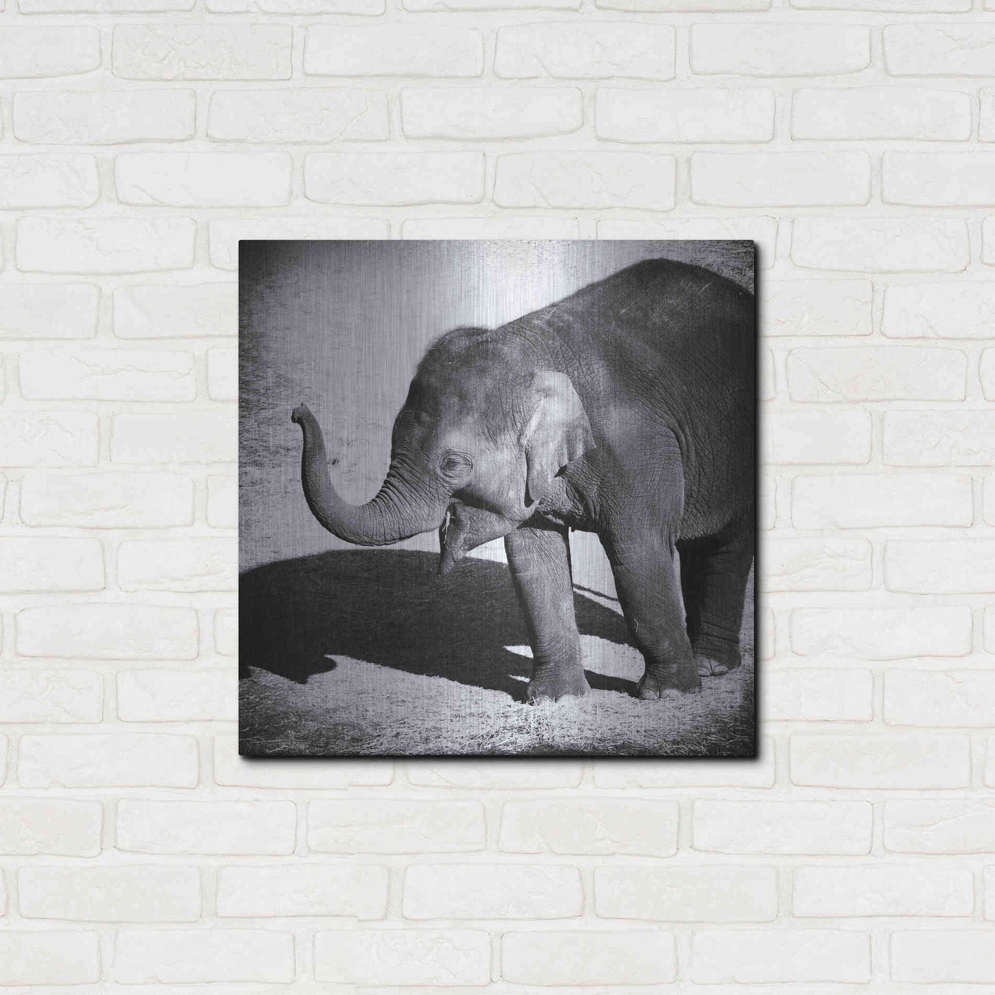 Luxe Metal Art 'Elephant IV' by Debra Van Swearingen, Metal Wall Art,24x24