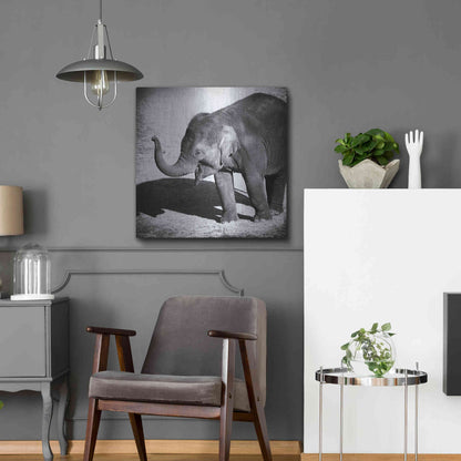 Luxe Metal Art 'Elephant IV' by Debra Van Swearingen, Metal Wall Art,24x24