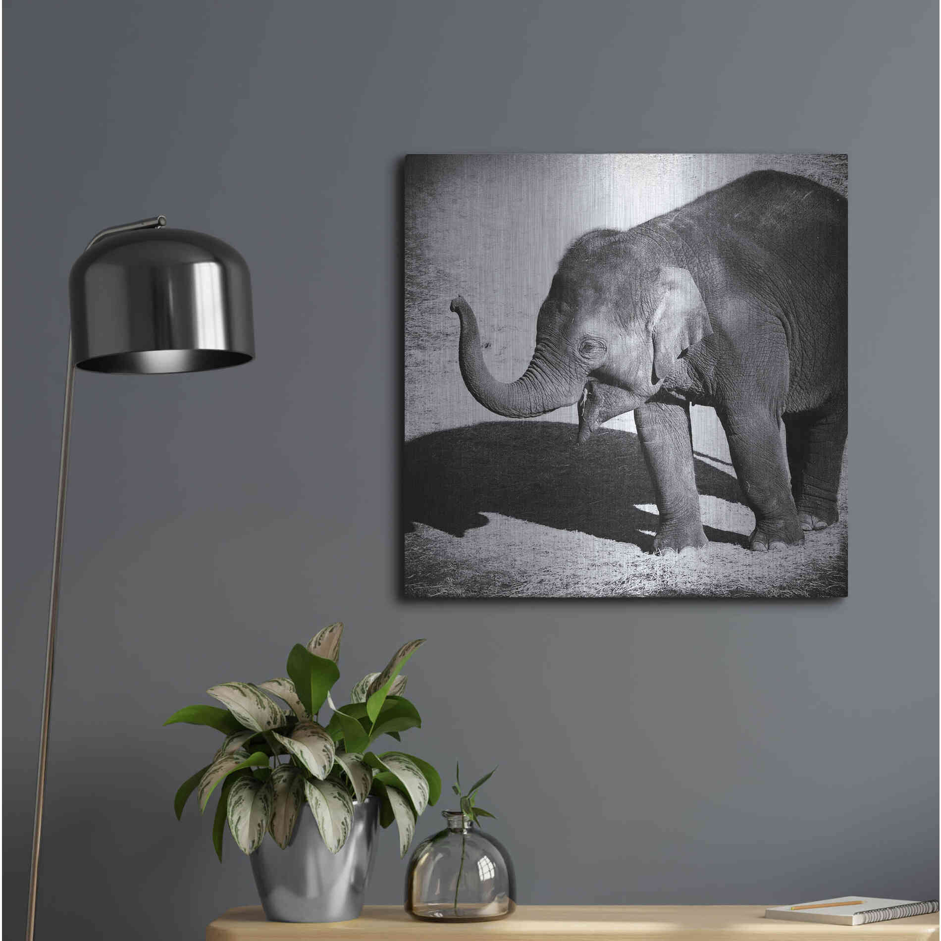 Luxe Metal Art 'Elephant IV' by Debra Van Swearingen, Metal Wall Art,24x24