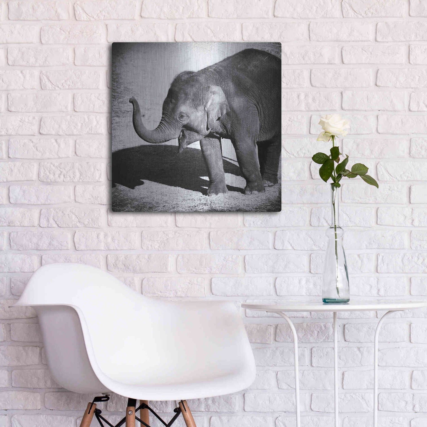 Luxe Metal Art 'Elephant IV' by Debra Van Swearingen, Metal Wall Art,24x24