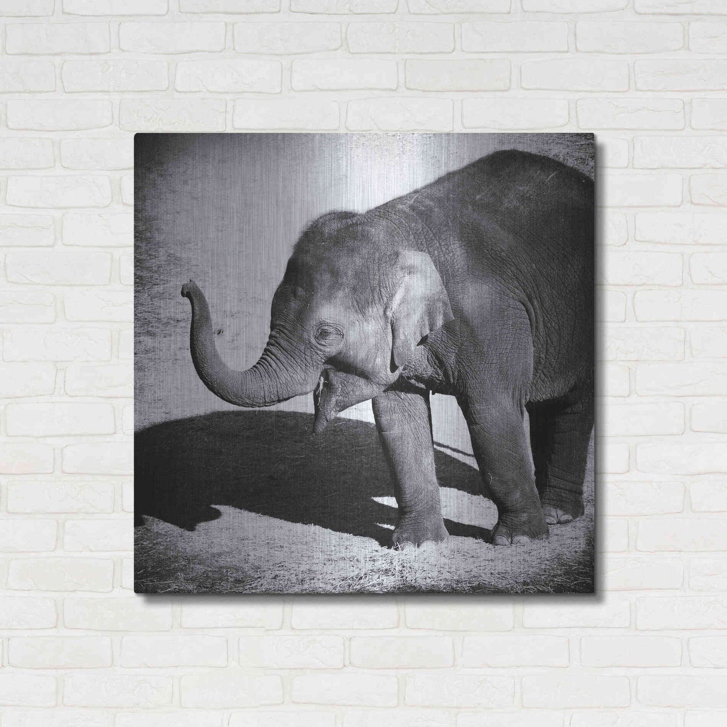 Luxe Metal Art 'Elephant IV' by Debra Van Swearingen, Metal Wall Art,36x36