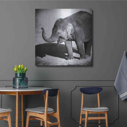 Luxe Metal Art 'Elephant IV' by Debra Van Swearingen, Metal Wall Art,36x36