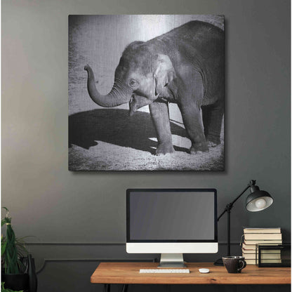 Luxe Metal Art 'Elephant IV' by Debra Van Swearingen, Metal Wall Art,36x36
