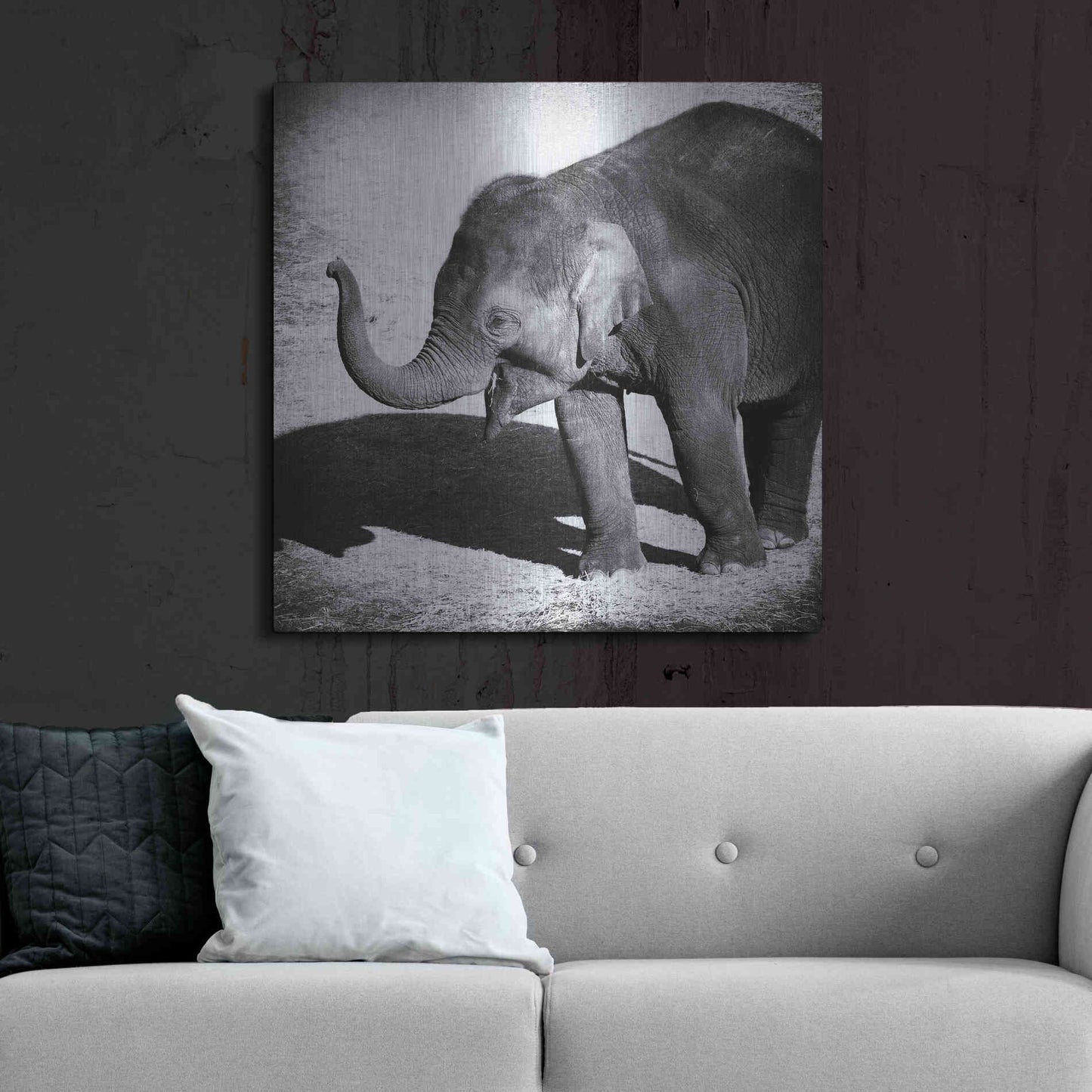 Luxe Metal Art 'Elephant IV' by Debra Van Swearingen, Metal Wall Art,36x36