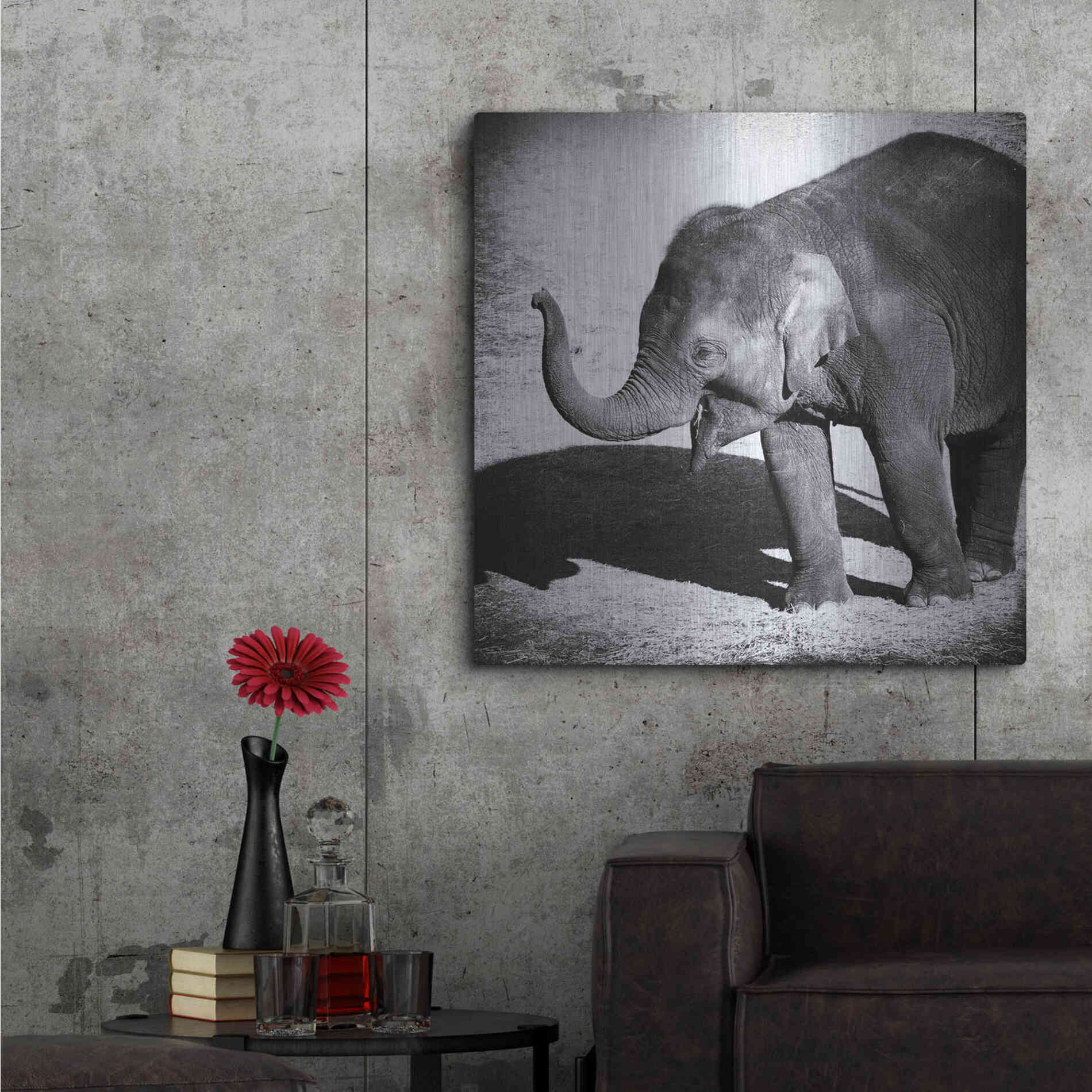 Luxe Metal Art 'Elephant IV' by Debra Van Swearingen, Metal Wall Art,36x36