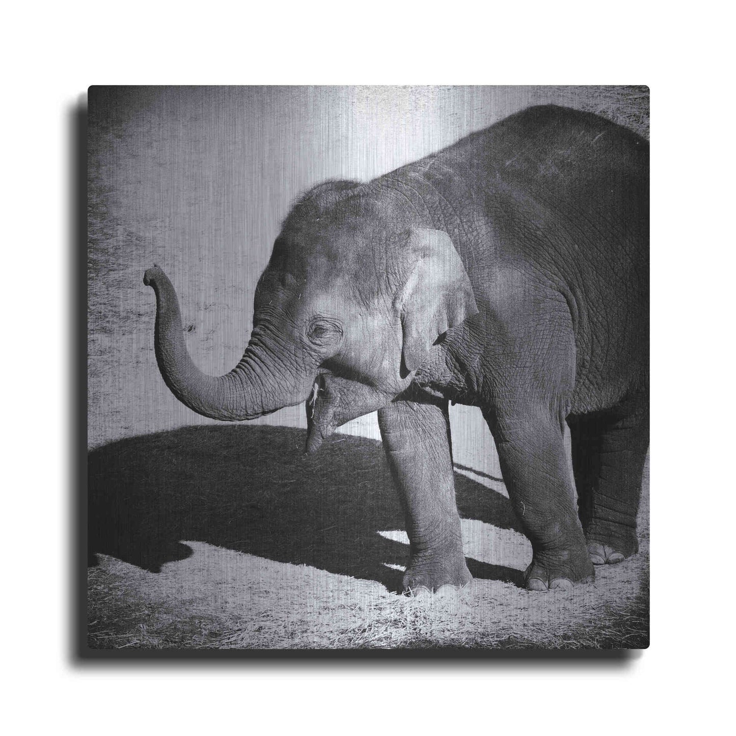 Luxe Metal Art 'Elephant IV' by Debra Van Swearingen, Metal Wall Art