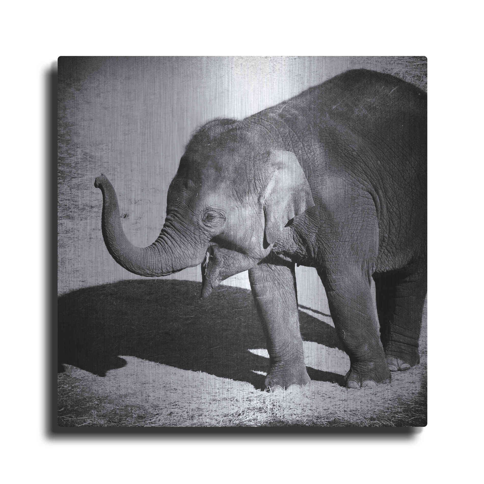 Luxe Metal Art 'Elephant IV' by Debra Van Swearingen, Metal Wall Art