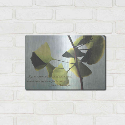 Luxe Metal Art 'Delicate Ginkgo' by Debra Van Swearingen, Metal Wall Art,16x12