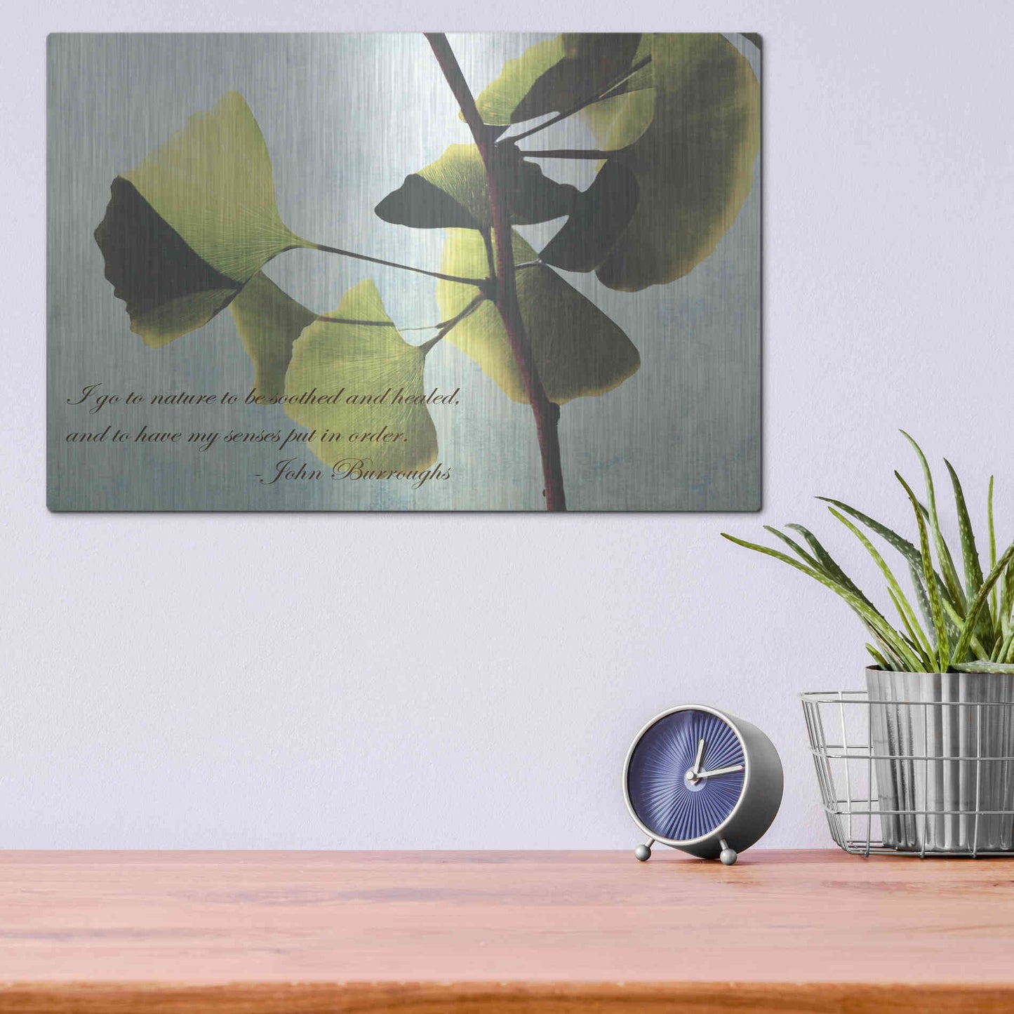 Luxe Metal Art 'Delicate Ginkgo' by Debra Van Swearingen, Metal Wall Art,16x12