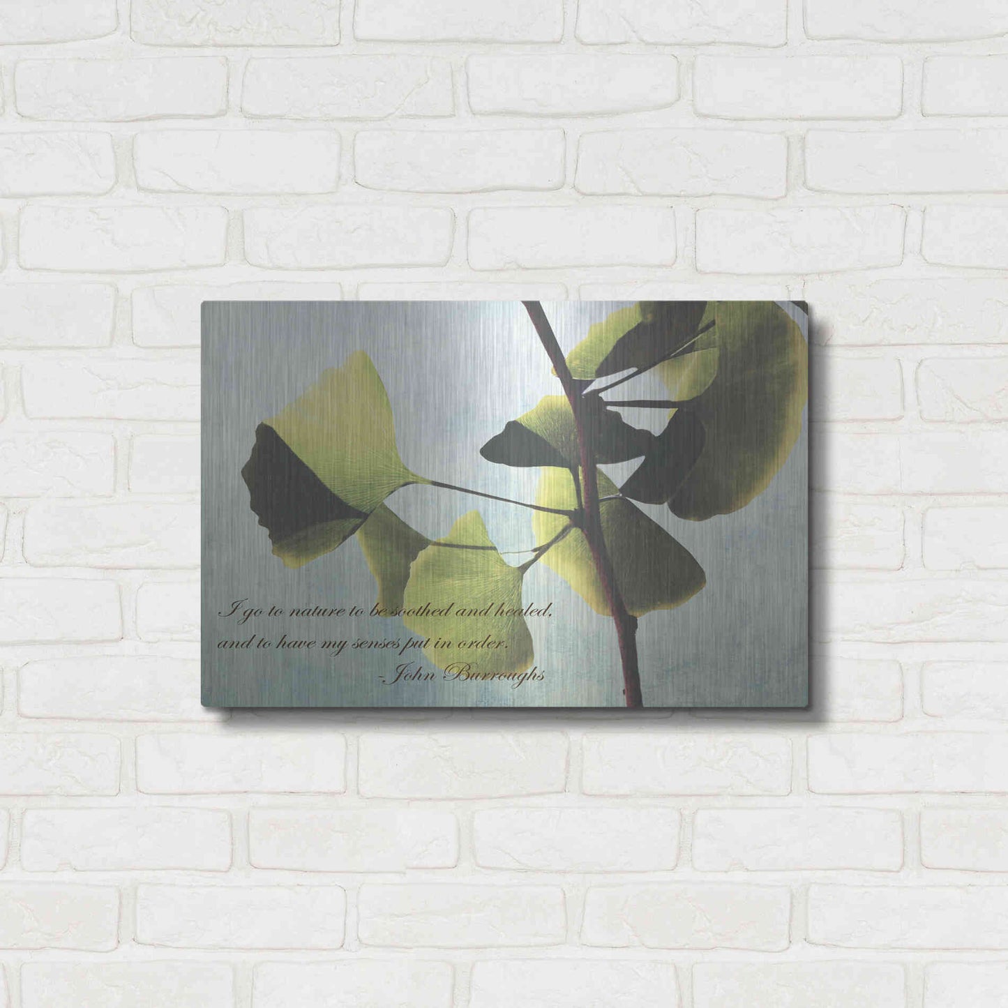 Luxe Metal Art 'Delicate Ginkgo' by Debra Van Swearingen, Metal Wall Art,24x16